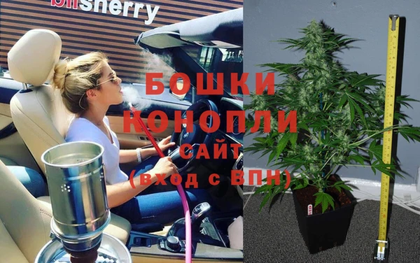 молекула духа Новокубанск