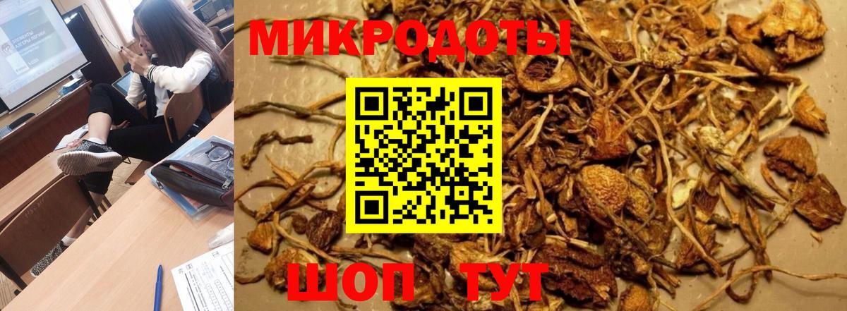 Псилоцибиновые грибы мицелий Одинцово