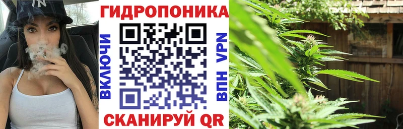 Бошки марихуана план  Одинцово 